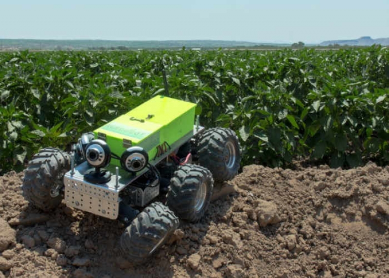 Robot Panen Cabai, Hasilnya Bisa Lebih Cepat 3x Lipat