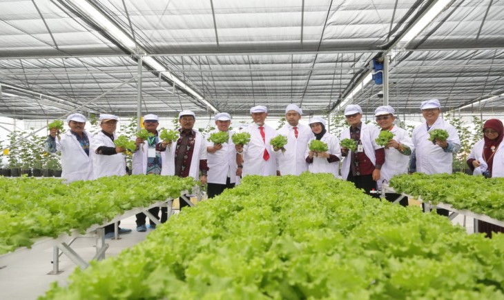 Greenhouse Ramah Lingkungan, Hemat Energi tapi Tetap Produktif